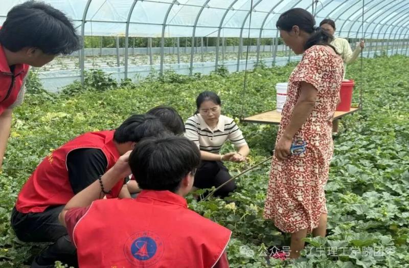 640 (6).jpg