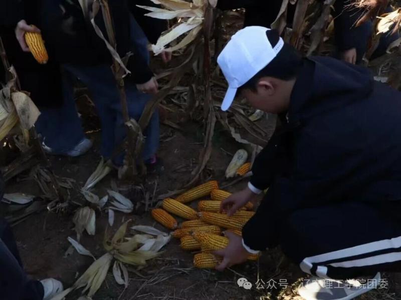 微信图片_2025-11-05_183255_509.jpg
